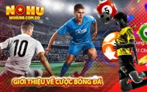 Giới Thiệu Về Cược Bóng Đá