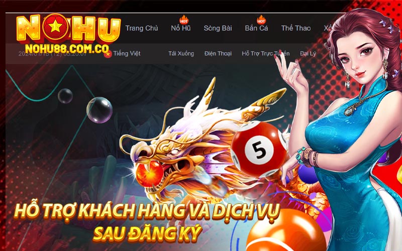 Hỗ Trợ Khách Hàng Và Dịch Vụ Sau Đăng Ký