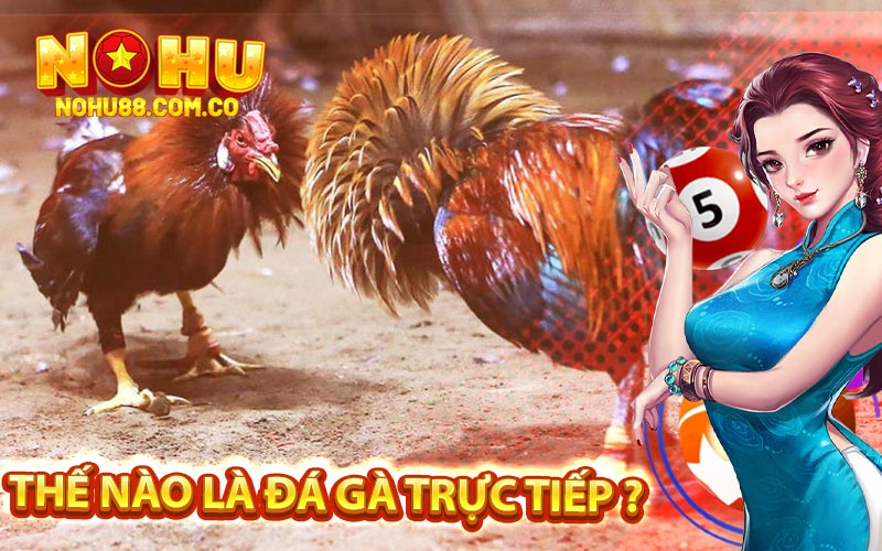 Thế Nào Là Đá Gà Trực Tiếp ?