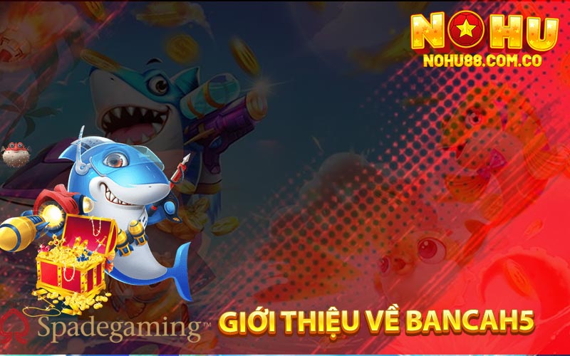 Giới Thiệu Về Bancah5