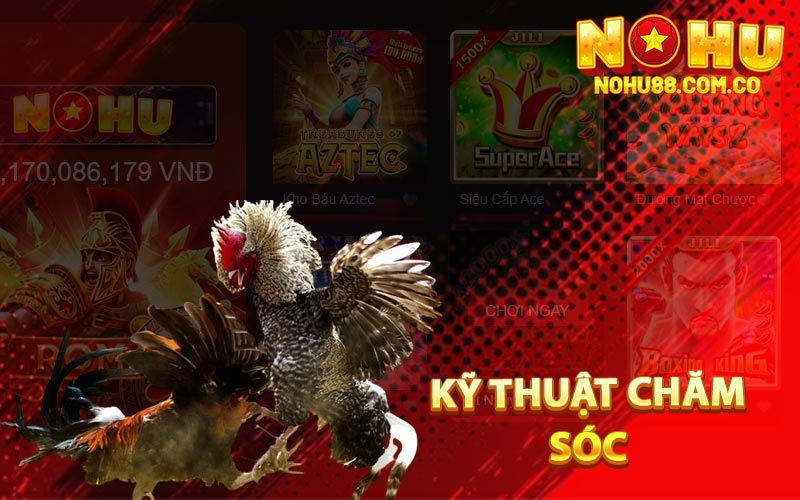Kỹ Thuật Chăm Sóc