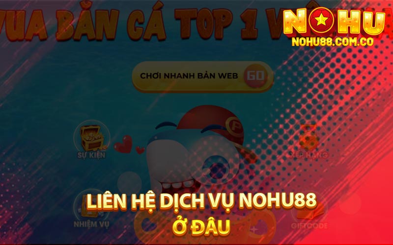 Liên Hệ Dịch Vụ Nohu88 Ở Đâu