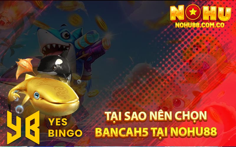 Tại Sao Nên Chọn Bancah5 Tại Nohu88